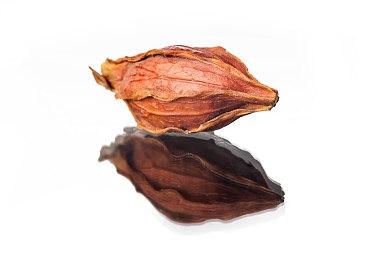 《夏洛克·福尔摩斯：觉醒》发售宣传片公开